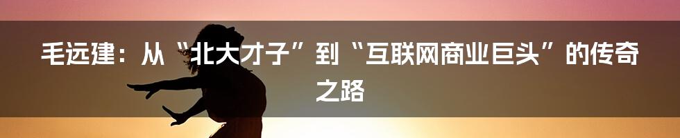 毛远建：从“北大才子”到“互联网商业巨头”的传奇之路