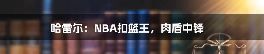 哈雷尔：NBA扣篮王，肉盾中锋