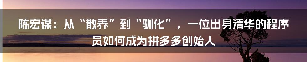 陈宏谋：从“散养”到“驯化”，一位出身清华的程序员如何成为拼多多创始人