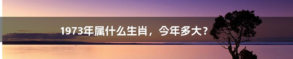 1973年属什么生肖，今年多大？