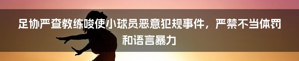 足协严查教练唆使小球员恶意犯规事件，严禁不当体罚和语言暴力