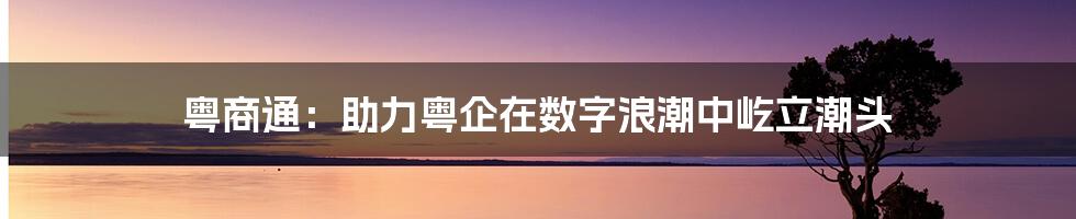 粤商通：助力粤企在数字浪潮中屹立潮头