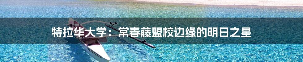 特拉华大学：常春藤盟校边缘的明日之星