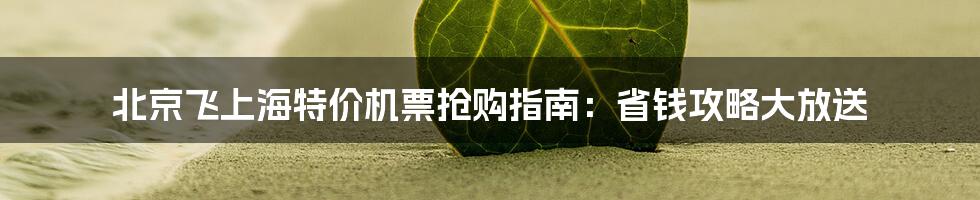 北京飞上海特价机票抢购指南：省钱攻略大放送