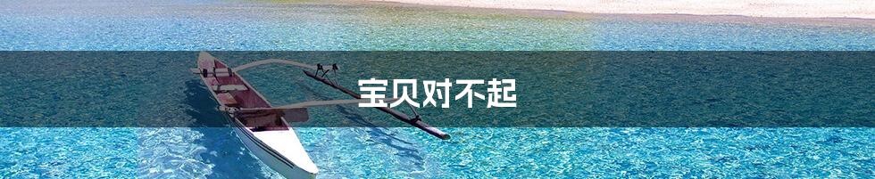 宝贝对不起