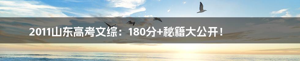 2011山东高考文综：180分+秘籍大公开！