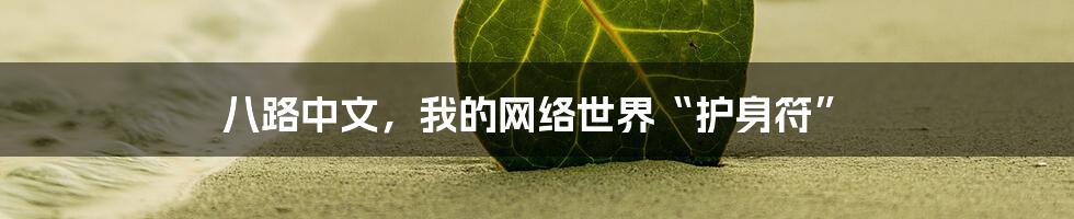 八路中文，我的网络世界“护身符”