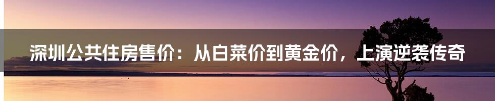 深圳公共住房售价：从白菜价到黄金价，上演逆袭传奇