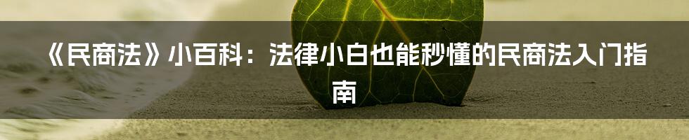 《民商法》小百科：法律小白也能秒懂的民商法入门指南