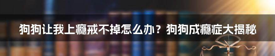 狗狗让我上瘾戒不掉怎么办？狗狗成瘾症大揭秘