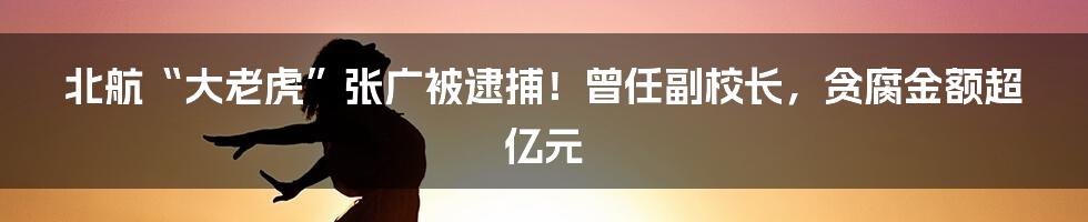 北航“大老虎”张广被逮捕！曾任副校长，贪腐金额超亿元