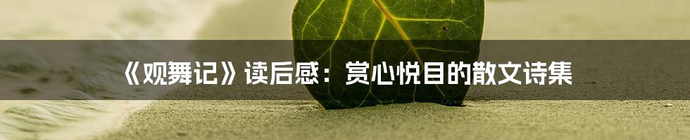 《观舞记》读后感：赏心悦目的散文诗集