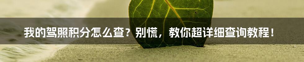 我的驾照积分怎么查？别慌，教你超详细查询教程！