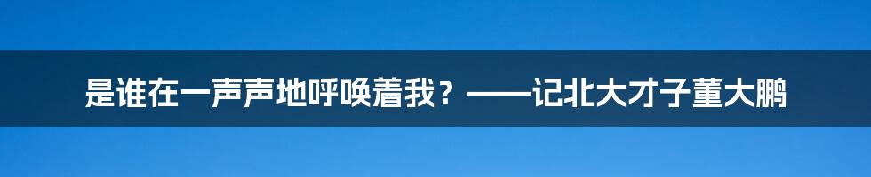 是谁在一声声地呼唤着我？——记北大才子董大鹏