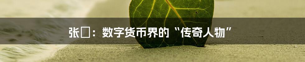 张旸：数字货币界的“传奇人物”