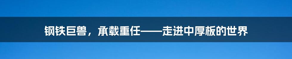 钢铁巨兽，承载重任——走进中厚板的世界