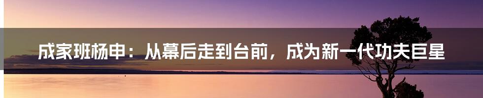 成家班杨申：从幕后走到台前，成为新一代功夫巨星