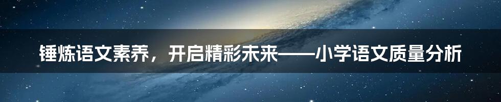 锤炼语文素养，开启精彩未来——小学语文质量分析