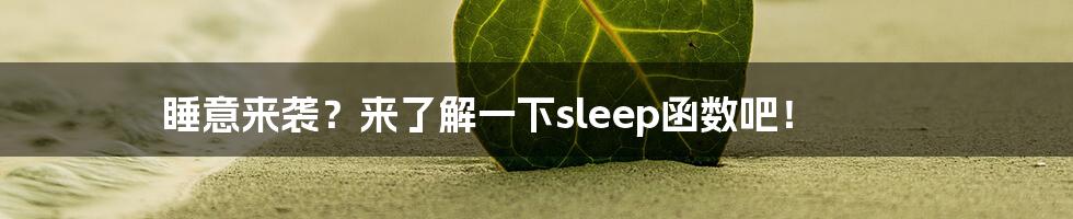 睡意来袭？来了解一下sleep函数吧！