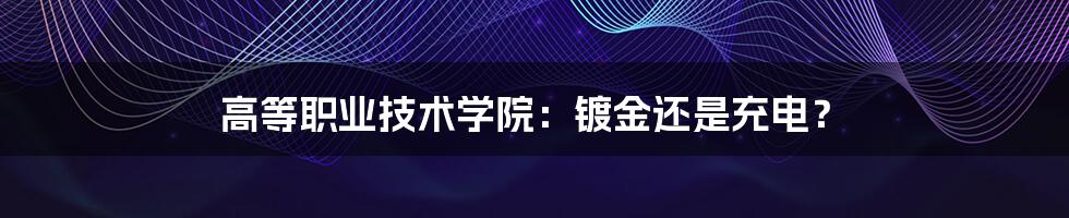 高等职业技术学院：镀金还是充电？