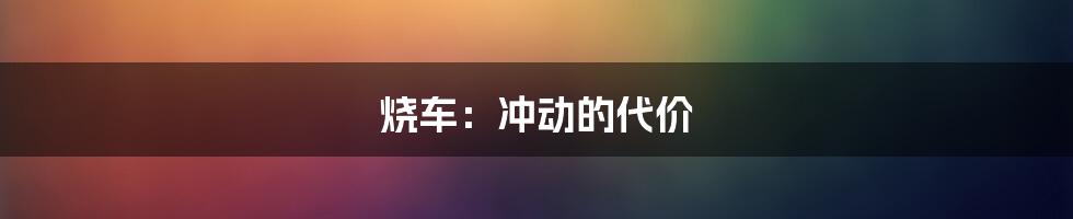 烧车：冲动的代价