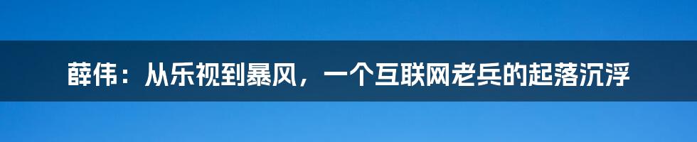 薛伟：从乐视到暴风，一个互联网老兵的起落沉浮