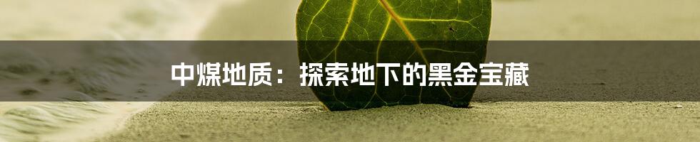 中煤地质：探索地下的黑金宝藏