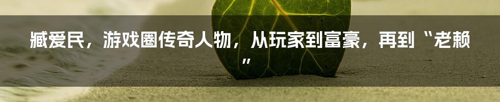 臧爱民，游戏圈传奇人物，从玩家到富豪，再到“老赖”