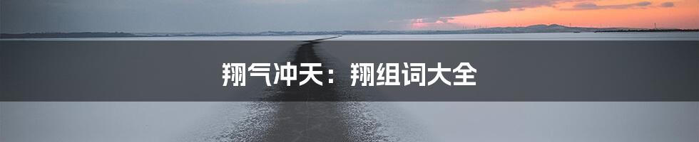 翔气冲天：翔组词大全