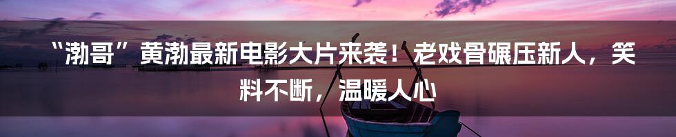 “渤哥”黄渤最新电影大片来袭！老戏骨碾压新人，笑料不断，温暖人心