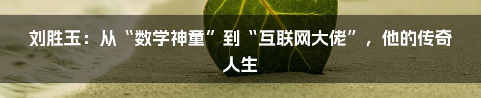 刘胜玉：从“数学神童”到“互联网大佬”，他的传奇人生