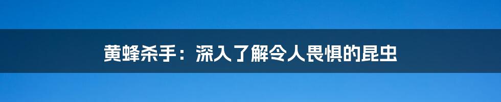 黄蜂杀手：深入了解令人畏惧的昆虫