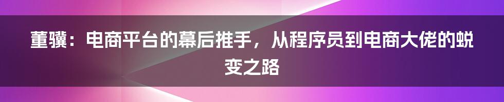 董骥：电商平台的幕后推手，从程序员到电商大佬的蜕变之路