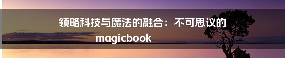 领略科技与魔法的融合：不可思议的 magicbook