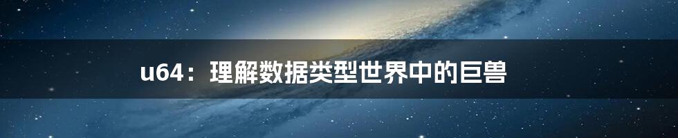 u64：理解数据类型世界中的巨兽