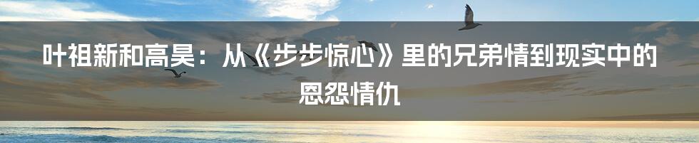 叶祖新和高昊：从《步步惊心》里的兄弟情到现实中的恩怨情仇