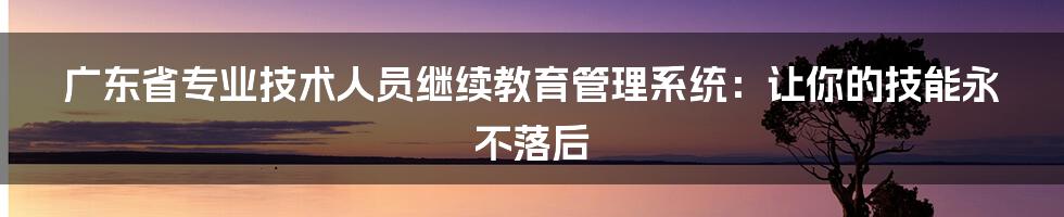 广东省专业技术人员继续教育管理系统：让你的技能永不落后