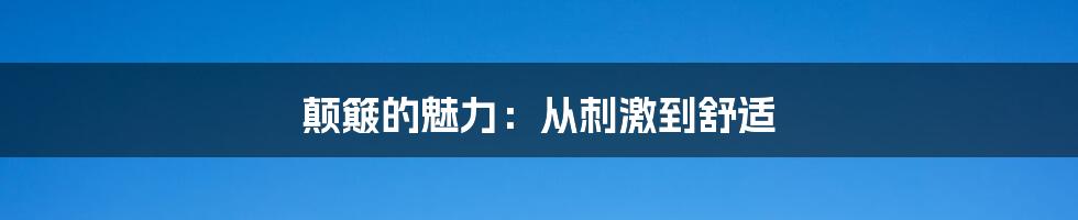 颠簸的魅力：从刺激到舒适