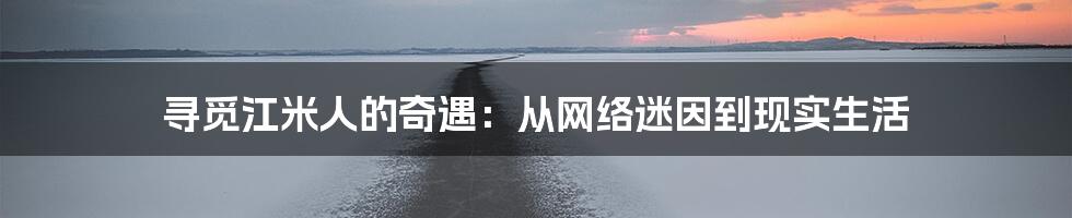 寻觅江米人的奇遇：从网络迷因到现实生活