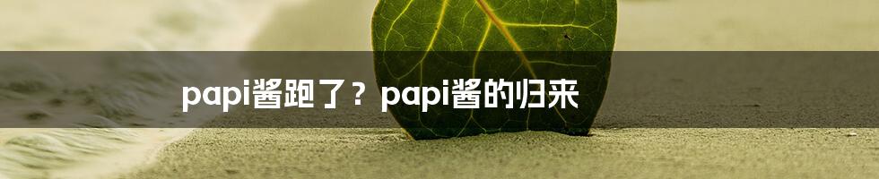 papi酱跑了？papi酱的归来