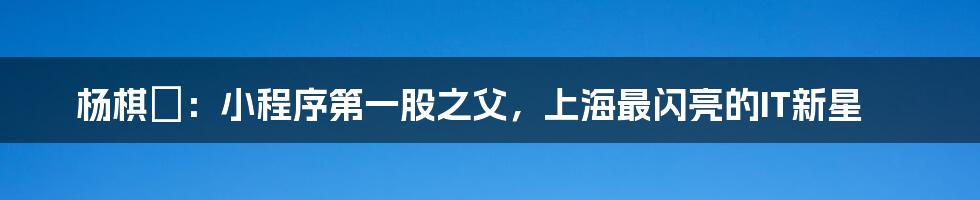 杨棋珺：小程序第一股之父，上海最闪亮的IT新星