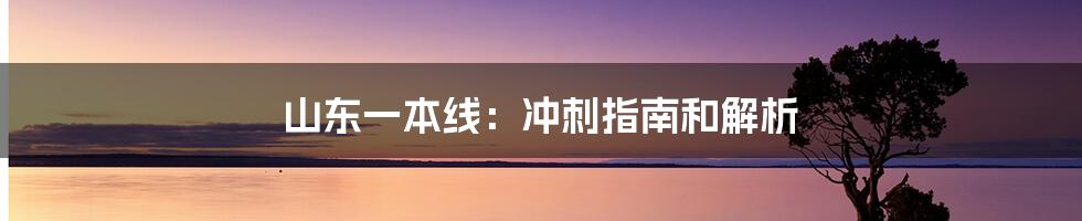 山东一本线：冲刺指南和解析