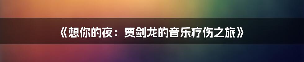 《想你的夜：贾剑龙的音乐疗伤之旅》