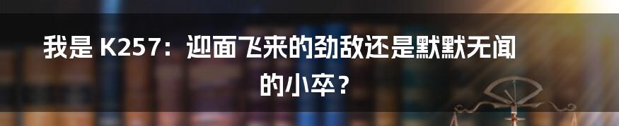 我是 K257：迎面飞来的劲敌还是默默无闻的小卒？