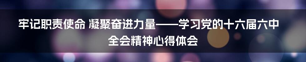 牢记职责使命 凝聚奋进力量——学习党的十六届六中全会精神心得体会