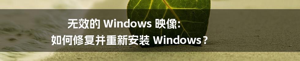 无效的 Windows 映像: 如何修复并重新安装 Windows？