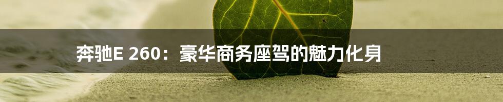 奔驰E 260：豪华商务座驾的魅力化身