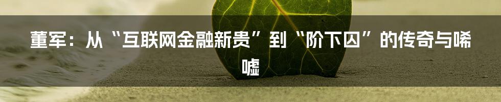 董军：从“互联网金融新贵”到“阶下囚”的传奇与唏嘘