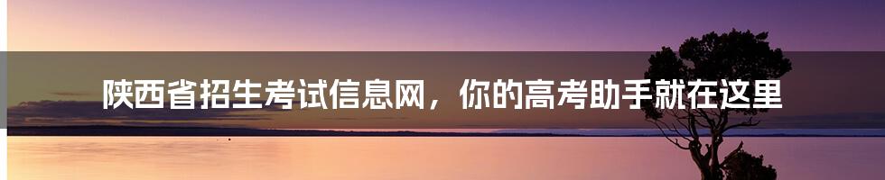 陕西省招生考试信息网，你的高考助手就在这里