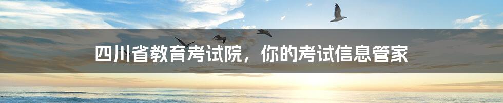 四川省教育考试院，你的考试信息管家